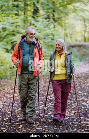 Felice coppia escursionismo senior in autunno foresta. Foto Stock