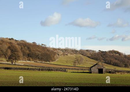 Leyburn Shawl nei pressi di Leyburn a Wensleydale, Yorkshire Dales, Regno Unito Foto Stock