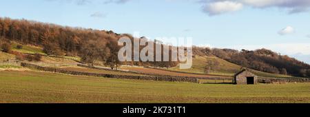 Leyburn Shawl nei pressi di Leyburn a Wensleydale, Yorkshire Dales, Regno Unito Foto Stock