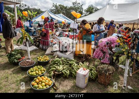 Donazioni rurali fatte dalle donne rurali di diverse delegazioni ai partecipanti all'evento. Foto Stock