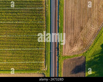 Segui i binari tra un campo di fragole e un campo direttamente dall'alto da una vista dall'alto, in Germania Foto Stock