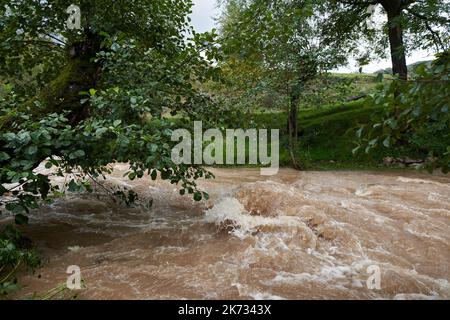 Fiume inondazione di acque fangose che fanno rapide e onde Foto Stock