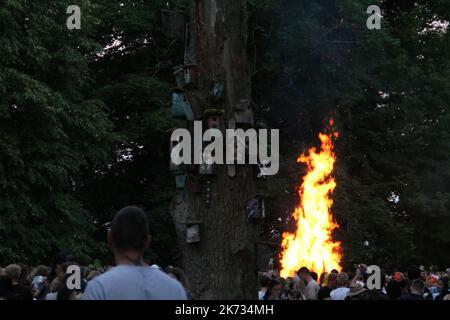 foto molte persone che bruciano un falò la sera Foto Stock