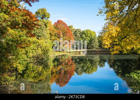 Paesaggio naturale con riflesso degli alberi del lago. Stagione autunnale. Parco Rivierenhof ad Anversa, Belgio. Foto Stock