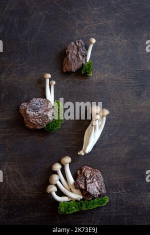 Gruppo di funghi shimeji freschi di colore marrone primo piano. funghi shimeji su sfondo di legno. Foto Stock