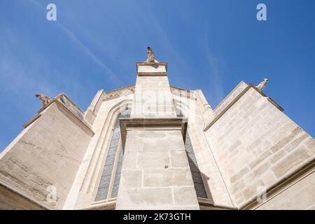 Facciata con gargoyles della Collegiata di Notre-Dame-des-Anges, precedentemente chiamata la Basilica di Saint-Laurent, a l'Isle-sur-la-Sorgue. Francia Foto Stock