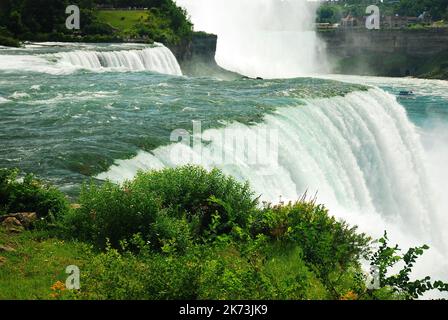 I fiori selvatici crescono ai margini delle American Falls, che crescono grazie alla nebbia delle cascate del Niagara Foto Stock