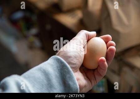 Un uomo che tiene in mano un uovo fresco Foto Stock