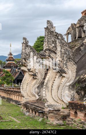 Splendido antico stucco naga e decorazione a elefante sul principale stupa al tempio buddista Wat Chedi Luang, famoso punto di riferimento di Chiang mai, Thailandia Foto Stock