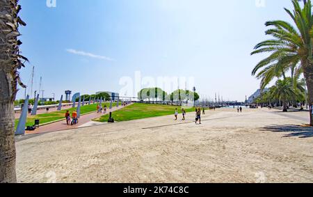 Giardini di Moll de la Fusta nel porto di Barcellona, Catalunya, Spagna, Europa Foto Stock