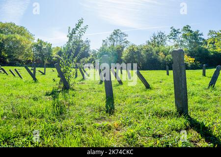 Il vecchio cimitero militare a Tranžament, Petrovaradin. Una vista panoramica del vecchio identico, trascurato lapidi in cemento croci del CE militare Foto Stock