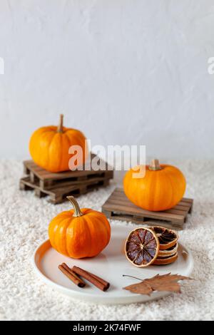 composizione verticale autunnale atmosferica con mini zucche, fette di arancia secca e foglie secche, spazio copia Foto Stock