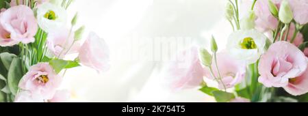 Bella Eustoma bouquet di fiori bianchi e rosa, primo piano Lisianthus, tulipano genziana, eustomas. isolare il banner Foto Stock