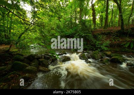 Una serie di immagini del Crumlin Glen, Irlanda del Nord. Foto Stock