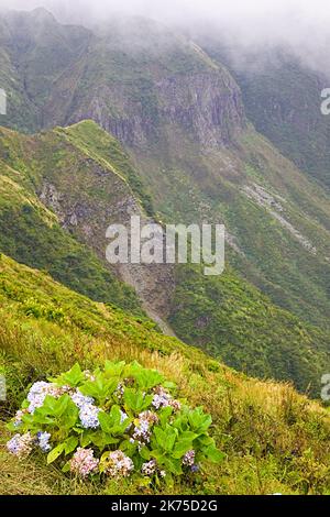 Portogallo, Azzorre, isola di Faial, Caldeira do Cabeco Gordo, cratere vulcanico, Foto Stock