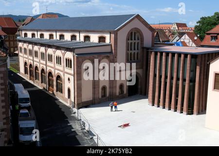 Scopri una serie di tesori rinascimentali in un museo nel cuore dell'Alsazia! Scopri i segreti di alcuni libri davvero eccezionali... La Bibliothèque Humaniste porta i visitatori in un viaggio affascinante, dai manoscritti medievali alle rare opere stampate del 15th e 16th secolo, in un magnifico scenario architettonico creato da Rudy Ricciotti. Segui le orme dell'illustre umanista Beatus Rhenanus e ammira la sua biblioteca personale, un tesoro che figura nel registro della memoria del mondo dell'UNESCO. ALSAZIA SELESTAT GIUGNO 14 2018 Foto Stock