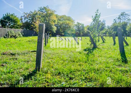 Il vecchio cimitero militare a Tranžament, Petrovaradin. Una vista panoramica del vecchio identico, trascurato lapidi in cemento croci del CE militare Foto Stock