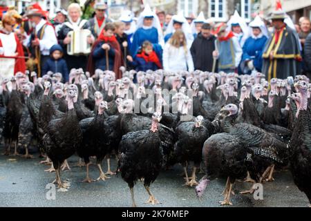 ©PHOTOPQR/VOIX DU NORD - Licques, le 16 dicembre 2018. Fête de la dride à Licques. FOTO JOHAN BEN AZZOUZ LA VOIX DU NORD gli allevatori sfilano il 16 dicembre 2018 con circa 200 tacchini nelle strade di Licques, nel nord della Francia, conservando la tradizione dei preti premontre che hanno sviluppato l'allevamento di tacchini in Francia. Foto Stock