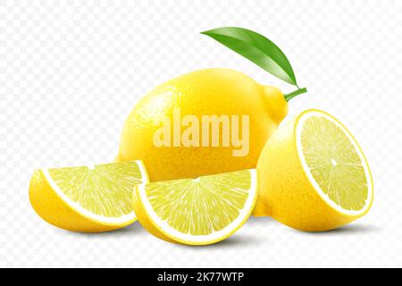 Limone fresco isolato su fondo trasparente. Un limone intero, metà e fettine un limone. Rappresentazione realistica del vettore 3D. Mesh completamente modificabile a mano. Illustrazione Vettoriale