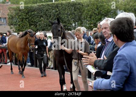 ©PHOTOPQR/OUEST FRANCE/Joel le GALL ; Deauville ; 17/08/2019 ; Vente de Yearling à Deauville vendita di Yearling a Deauville il 17 agosto 2019 Foto Stock