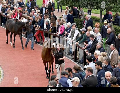 ©PHOTOPQR/OUEST FRANCE/Joel le GALL ; Deauville ; 17/08/2019 ; Vente de Yearling à Deauville vendita di Yearling a Deauville il 17 agosto 2019 Foto Stock