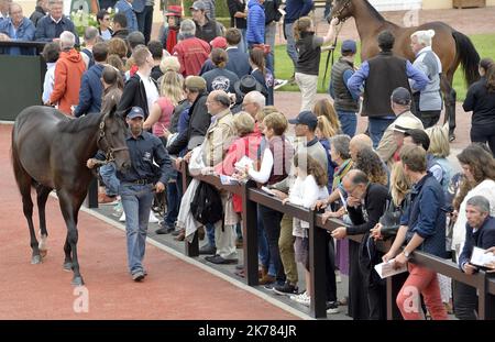 ©PHOTOPQR/OUEST FRANCE/Joel le GALL ; Deauville ; 17/08/2019 ; Vente de Yearling à Deauville vendita di Yearling a Deauville il 17 agosto 2019 Foto Stock