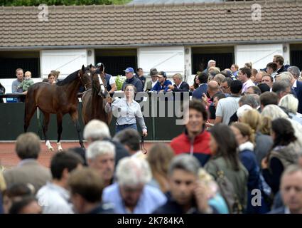 ©PHOTOPQR/OUEST FRANCE/Joel le GALL ; Deauville ; 17/08/2019 ; Vente de Yearling à Deauville vendita di Yearling a Deauville il 17 agosto 2019 Foto Stock