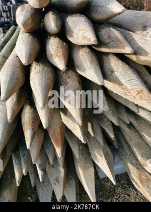 Tronchi di legno con estremità appuntite per la preparazione di campi con alberi da frutto Foto Stock