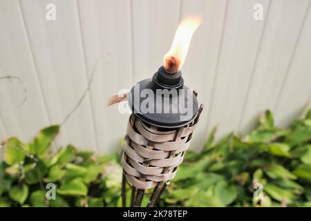 La torcia ad olio di citranella repellente per insetti brucia nel cortile posteriore, adagiato contro una parete bianca e piante da giardino Foto Stock