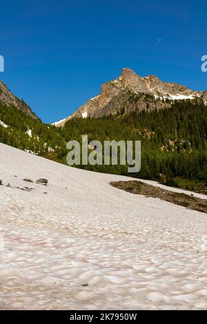 Fotografia tratta da Easy Pass. Neve ancora sul terreno a metà luglio. Easy Pass, North Cascades National Park, Washington, Stati Uniti. Foto Stock