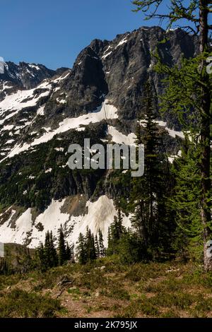 Fotografia tratta da Easy Pass. Neve ancora sul terreno a metà luglio. Easy Pass, North Cascades National Park, Washington, Stati Uniti. Foto Stock