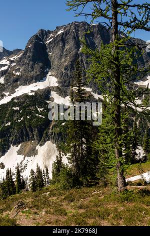 Fotografia tratta da Easy Pass. Neve ancora sul terreno a metà luglio. Easy Pass, North Cascades National Park, Washington, Stati Uniti. Foto Stock