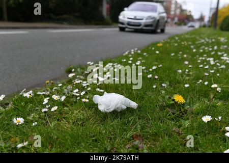 Â©PHOTOPQR/VOIX DU NORD/Philippe Pauchet ; 06/04/2020 ; gants di verbalizzazione masque crachat Marcq-en-Baroeul France, 6 aprile 2020 persone buttano via guanti, maschere e fazzoletti usati ... dovremmo verbalizzare? Foto Stock