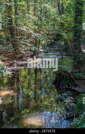 Il percorso carriere - Vista del sentiero escursionistico lungo il canale EHN Foto Stock