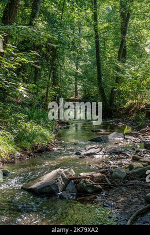 Il percorso carriere - Vista del sentiero escursionistico lungo il canale EHN Foto Stock