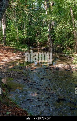 Il percorso carriere - Vista del sentiero escursionistico lungo il canale EHN Foto Stock