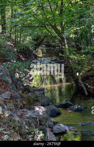 Il percorso carriere - Vista del sentiero escursionistico lungo il canale EHN Foto Stock