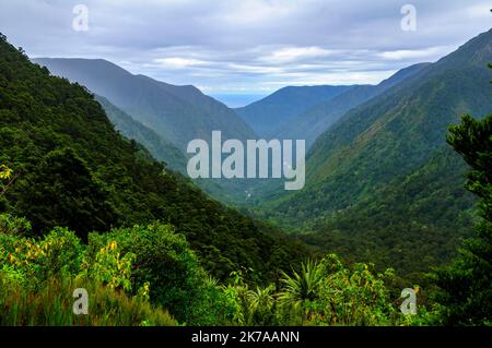 La valle del fiume Little Wanganui da vicino alla sella Little Wanganui, Wangapeka Track, Kahurangi National Park, South Island, Nuova Zelanda Foto Stock