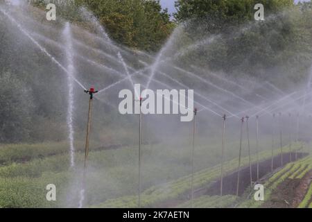 ©PHOTOPQR/LE REPUBLICAIN LORRAIN/Pierre HECKLER ; Thionville ; 13/08/2020 ; Illustration secheresse et Agriculture - agricoltura, irrigazione Foto Stock