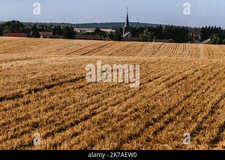 ©PHOTOPQR/LE REPUBLICAIN LORRAIN/Pierre HECKLER ; Thionville ; 13/08/2020 ; Illustration secheresse et Agriculture - agricoltura, siccità Foto Stock