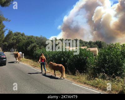 ©PHOTOPQR/LA PROVENCE/GUEROULT Serge ; Istres ; 24/08/2020 ; Incendie près d'Istres : le feu a déjà parcouru 450 ettari, 700 pompiers engagés fuoco vicino Istres: L'incendio ha già coperto 450 ettari. Agosto 24, 2020 Foto Stock