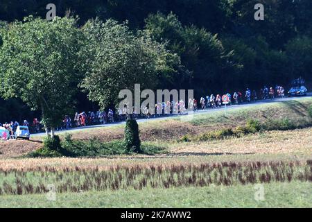 ©PHOTOPQR/LE PROGRES/Philippe TRIAS - 13/09/2020 - Tour de France, Isère, 13 settembre 2020. -Le peloton sur les routes du département de l'Isère. 2020/09/13. Tour de France tappa 15. Foto Stock