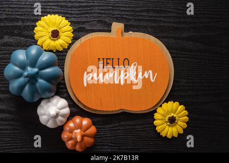 Ciao pumpkin piatto giacitura, vista dall'alto verso il basso, con zucche colorate e girasoli secchi su uno sfondo di legno nero Foto Stock