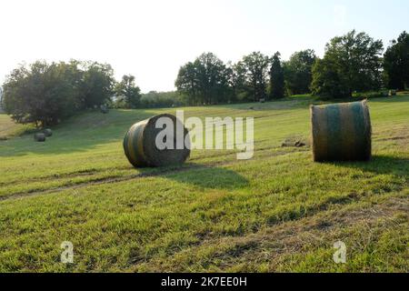 Thierry Larret/Maxppp. Agricoltura. Illustration de ballots de paille dans le Puy de Dome (63). Foto Stock