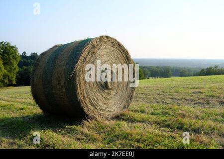 Thierry Larret/Maxppp. Agricoltura. Illustration de ballots de paille dans le Puy de Dome (63). Foto Stock