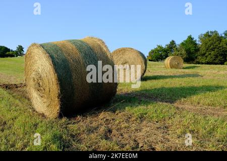 Thierry Larret/Maxppp. Agricoltura. Illustration de ballots de paille dans le Puy de Dome (63). Foto Stock