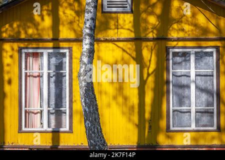 Fattoria in legno tradizionale giallo ornato di Europa orientale, Lituania Foto Stock