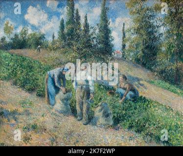 ©Active Museu/MAXPPP - ActiveMuseum 0000258.jpg / Ramasseurs de pommes de terre (la Recolte, Pontoise)- Camille Pissarro (1881) - 1881 - / Camille Pissarro / Peinture Active Museum / le Pictorium Agriculture ,Bag, cielo nuvoloso, raccogliere (to), campo, raccolto, orizzontale natura, contadino, Potarro, farina, Camillo, 19th ° secolo, Pissaro, albero, Pissaro, Pissaro Foto Stock