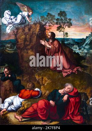 ©Active Museu/MAXPPP - ActiveMuseum 0001977.jpg / Jesus au jardin des Oliviers, vers 1520 - Barend van Orley 1520 - / Barend van Orley / Peinture Active Museum / le Pictorium Angel, addormentato, addormentato, Biblico, Benedizione, Bow (Musica), Cattolico (adj e sostantivo) ,Religione cattolica ,cristiana ,religione cristiana ,Cristianesimo (religione) ,Croce ,Coppa ,sera ,fede ,Giardino ,uomo ,Messia ,Olive Tree ,religione ,religione ,religione religiosa ,seduta (essere) ,inginocchiarsi ,verticale ,Israele ,Gerusalemme ,Medio Oriente ,Monte degli Ulivi ,Gesù Cristo ,Rinascimento () ,Barend van Orley ,Pittura , Foto Stock