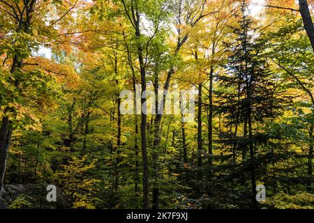 ©Michael Bunel / le Pictorium/MAXPPP - ete indien au canada. Les feuilles des erables, chenes et aulnes tournent au rouge, jaune, orange et ocre a cette periode de l'annee. Val david. Canada. 3 ottobre. 2021. Val David. Canada. Foto Stock